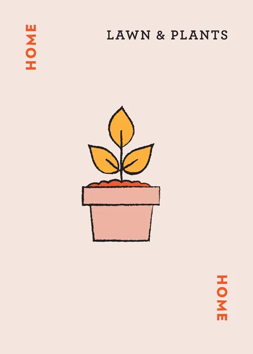 Potted plant with yellow leaves in terra cotta pot, labeled 'Lawn & Plants' and 'Home'